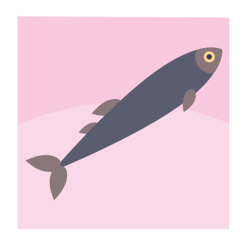 Illustration of a fish