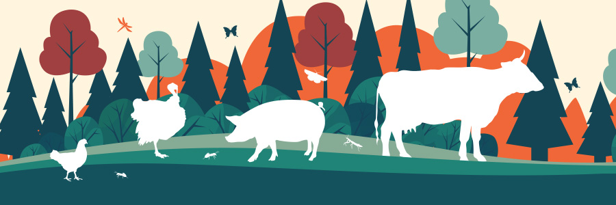 Illustration of diverse animals in wildlife - 2