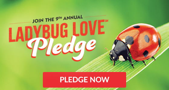 Ladybug Love Pledge