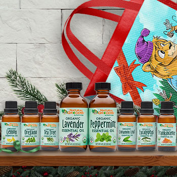 Scents of the Season Gift Bag