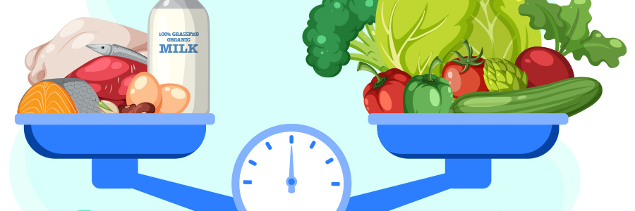 Illustration showing a balance between protein sources and vegetables