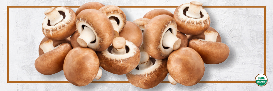 Organic Mushrooms
