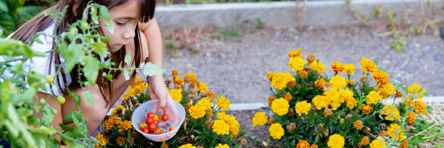 Image of child in garden