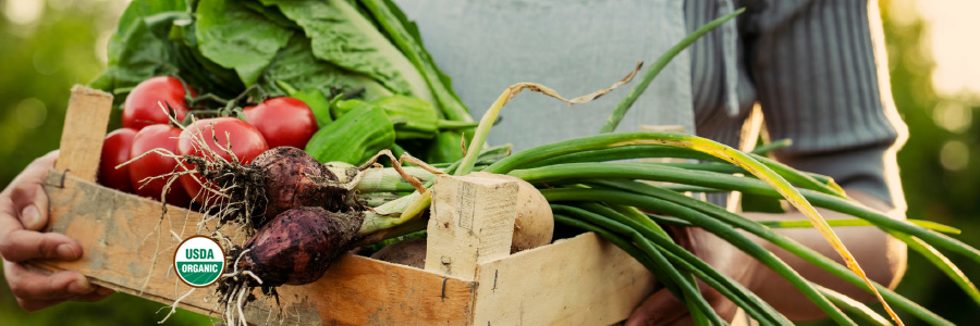 Image of a person carrying organic produce