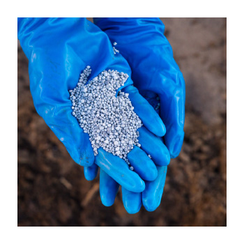 Person holding a small pile of fertilizer pellets