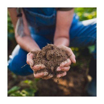 Image of a person holding soil