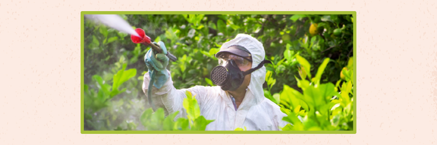 Farm Worker Spraying Pesticides