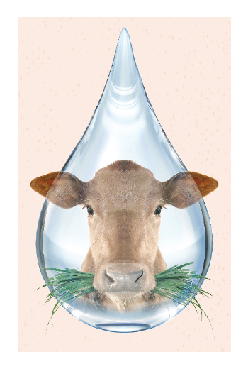 Cow in a water droplet