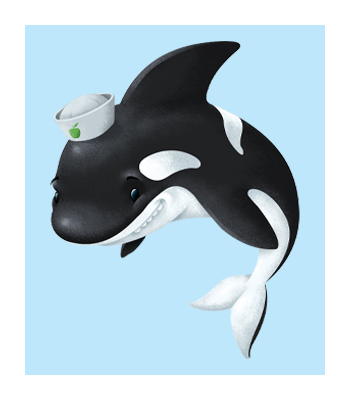 Odie the Orca