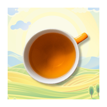 Cup Of Organic Tea