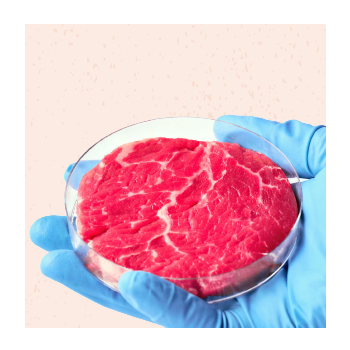 Graphic of beef meat in a petri dish