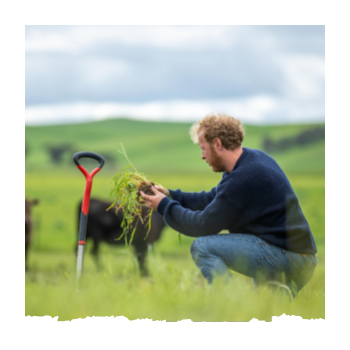 Image of person in a grass field with a shovel