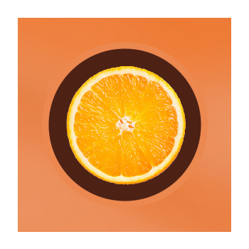Image of an orange slice