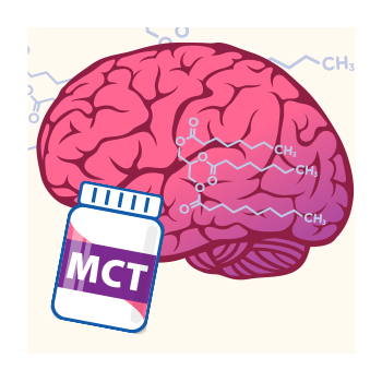 Illustration of a brain and MCT bottle