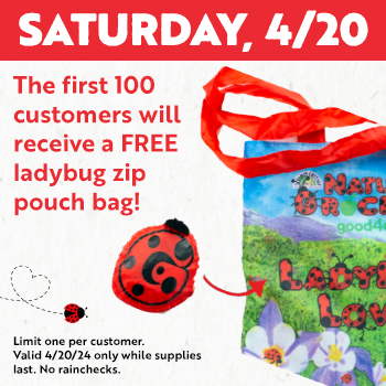 Ladybug Zip Pouch Giveaway