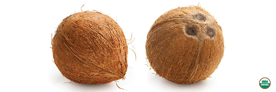 coconuts