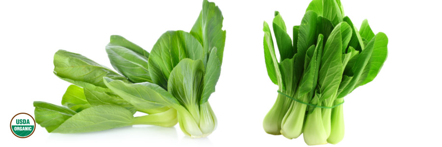 Bok Choy Featured Image 1