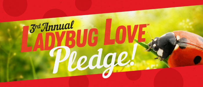 Ladybug Love Pledge