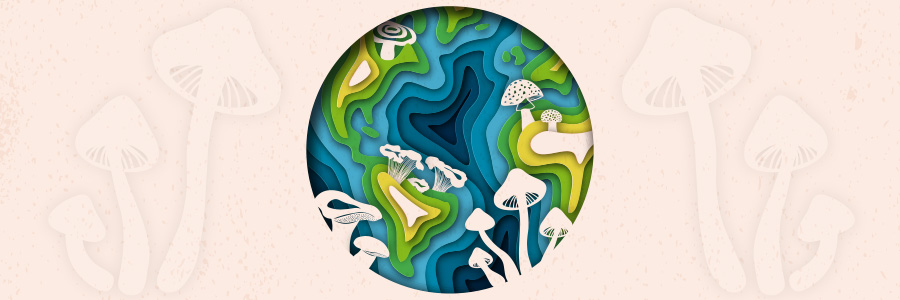 Earth Watch: Do Mushrooms Hold the Power to Heal the Earth?