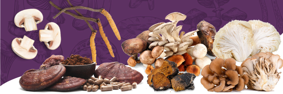 Which Mushrooms Are Right for You?