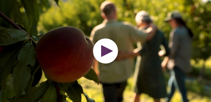 Natural Grocers Presents: Fortunate Fruit
