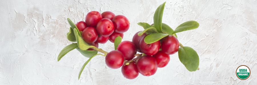 For The Love Of Organics: Cranberries