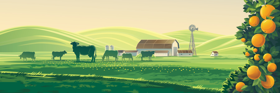 3 Easy Swaps to Save the Planet... And Your Health