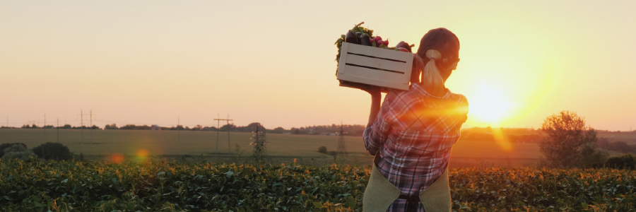 Person holding a basket of produce in front of a field.