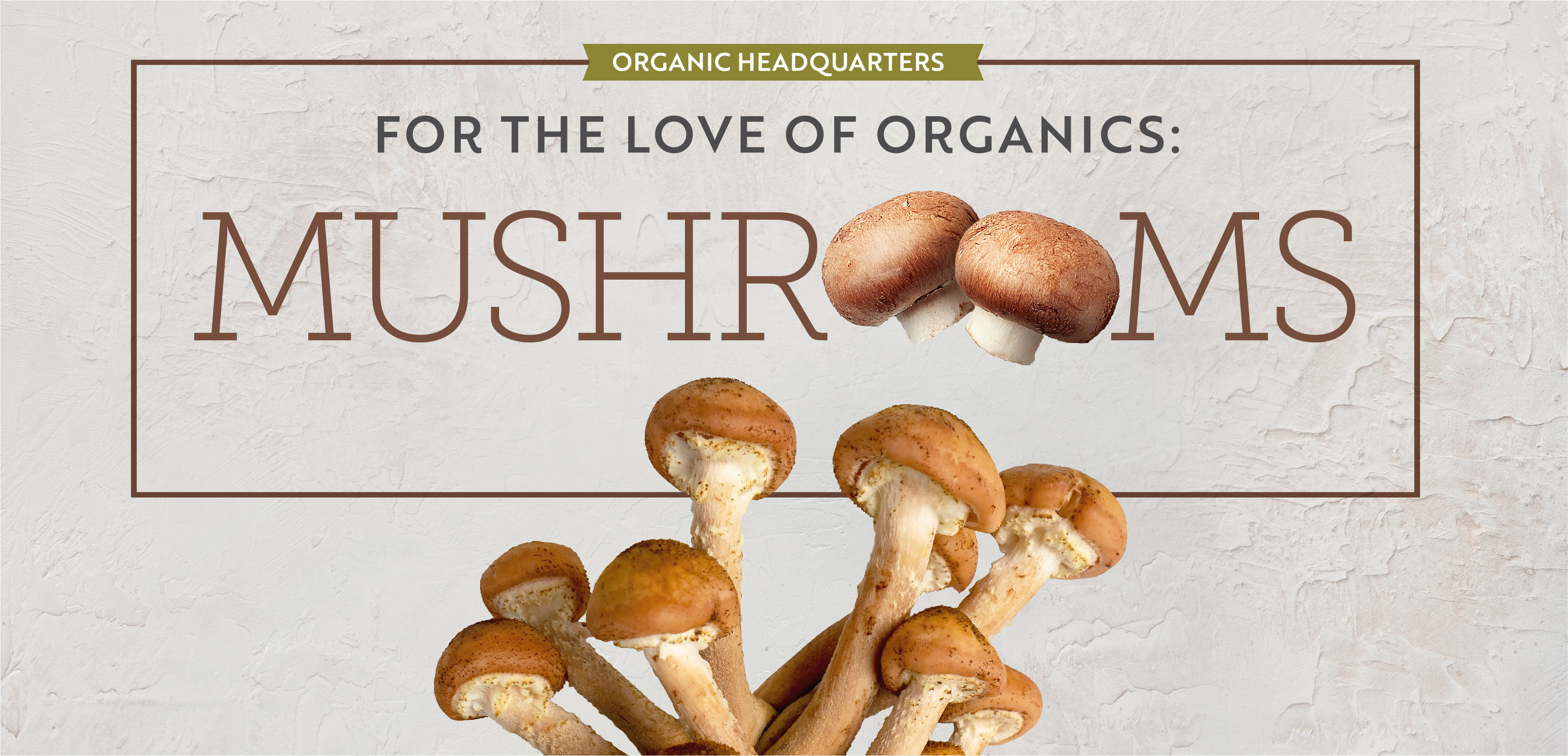 For the Love of Organics: Mushrooms