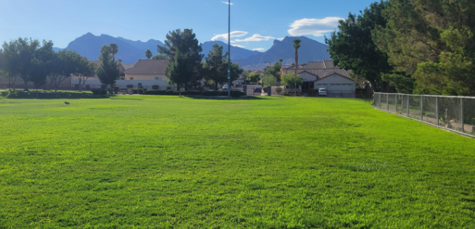 Beyond Pesticides The Summerlin Community