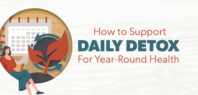 How to Support Daily Detox for Year-Round Health
