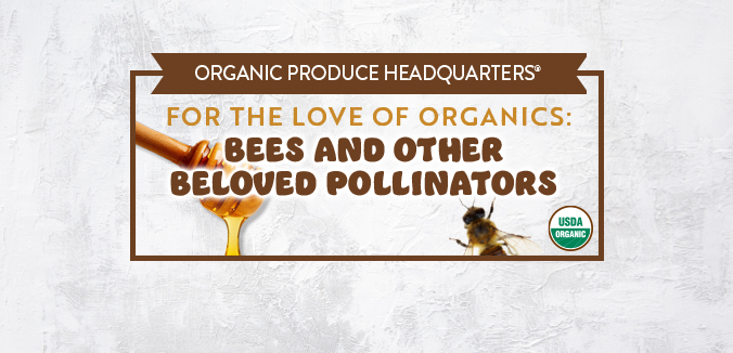 For the Love of Organics: Bees and Other Beloved Pollinators