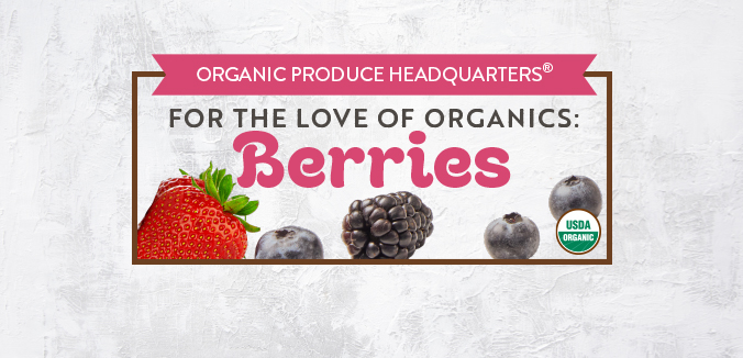 For The Love Of Organics: Berries