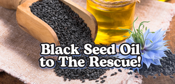 Black Seed Oil to The Rescue!