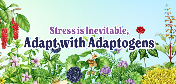 Stress is Inevitable, Adapt with Adaptogens