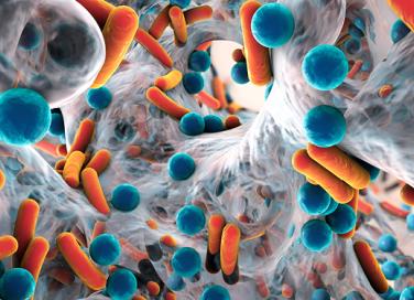 good health starts with probiotics