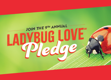 Ladybug Love Pledge