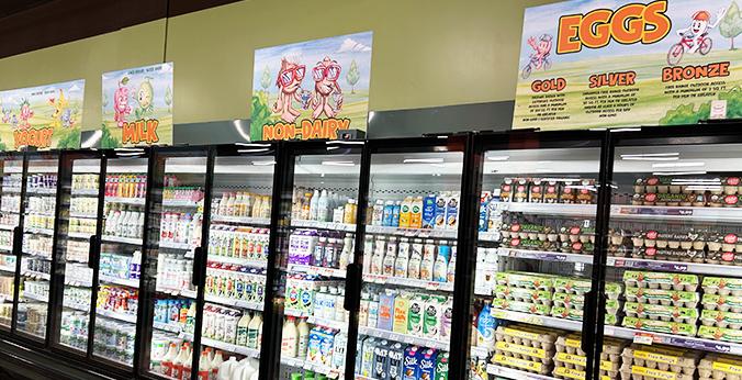 Walla Walla Frozen Section.