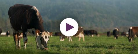 Meet Your Farmer: From the Soil Up