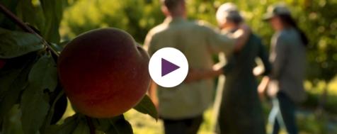 Natural Grocers Presents: Fortunate Fruit Film