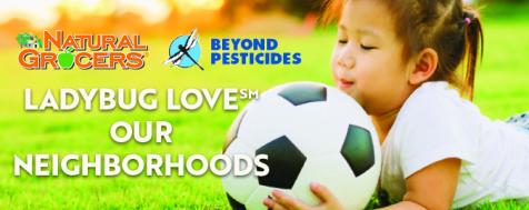 Ladybug Love Our Neighborhoods