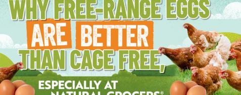 Why Free-Range Eggs are Better Than Cage-Free Eggs?