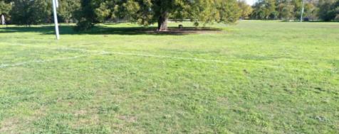 Beyond Pesticides Zilker Metropolitan Park - Austin, TX