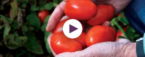 Meet Your Farmer: Field to Can