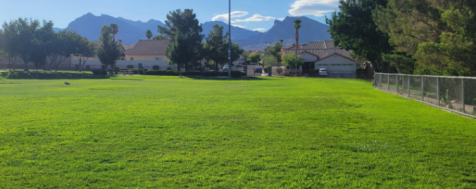 Beyond Pesticides The Summerlin Community