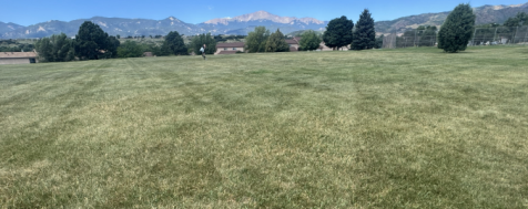 Beyond Pesticides Jackson Park