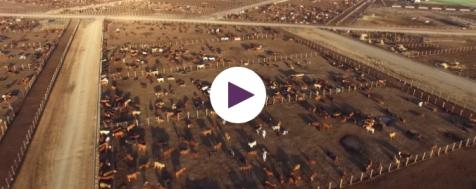 Natural Grocers Presents: Dirty Little Secret Film