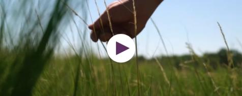 Meet Your Farmer: Grassroots Film