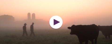 Meet Your Farmer: Regenerative Renegades Film