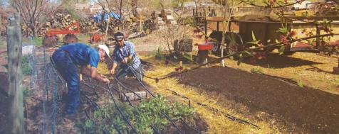 New Product Submission For Vendors